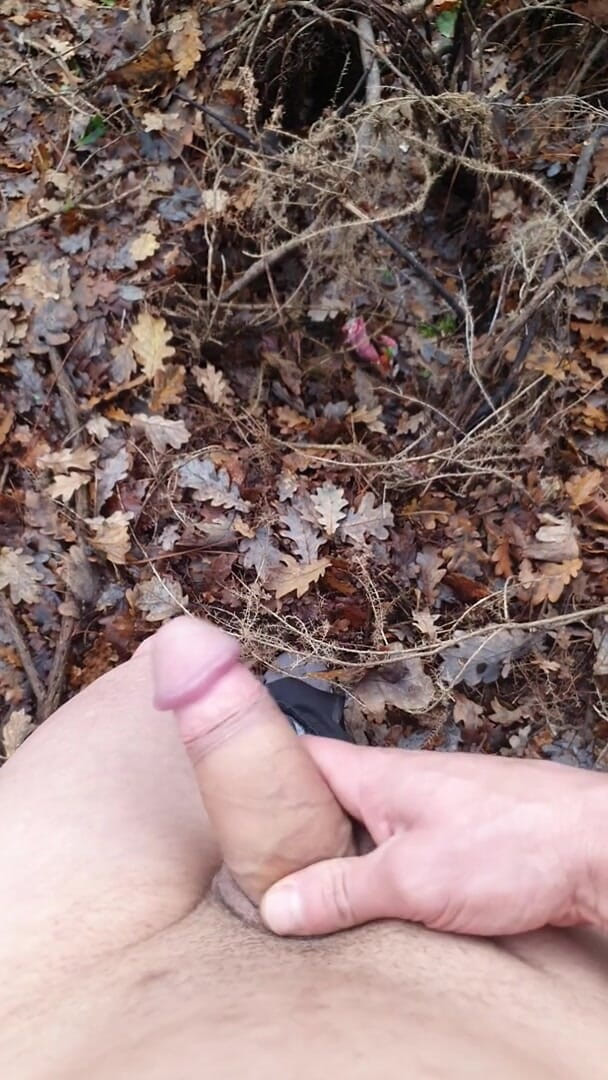 Timmyboy: Timmyboy, ich habe einen Lauf im wald gemacht und ich...