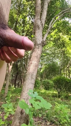 Es ist zu heiß, zieh dich aus und besuche den Park