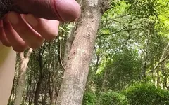 It's Too Hot, Strip Naked and Visit the Park