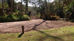 Bareback TV: Dvě sexy nádherné kusy šukají v lese