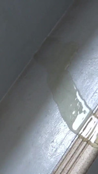 Esguichando em qualquer lugar! 38 meninas amadoras urinando em pleno swing - um vídeo para os entusiastas desfrutarem em câmera lenta 6
