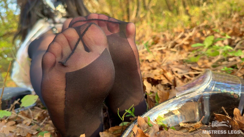 Mistress Legs: 恋物癖的陷阱：一个穿着黑色丝袜的森林仙女在秋天的森林里用脚挑逗（mp4高清） 恋足癖