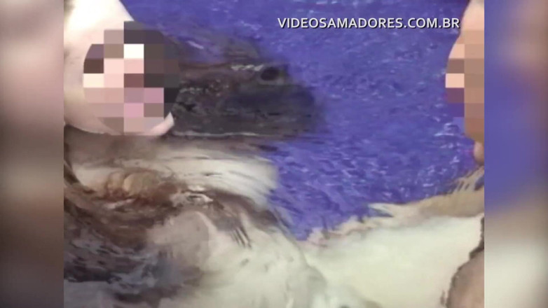 Amateurs videos: Exchange of couples released in swinger orgy at the motel