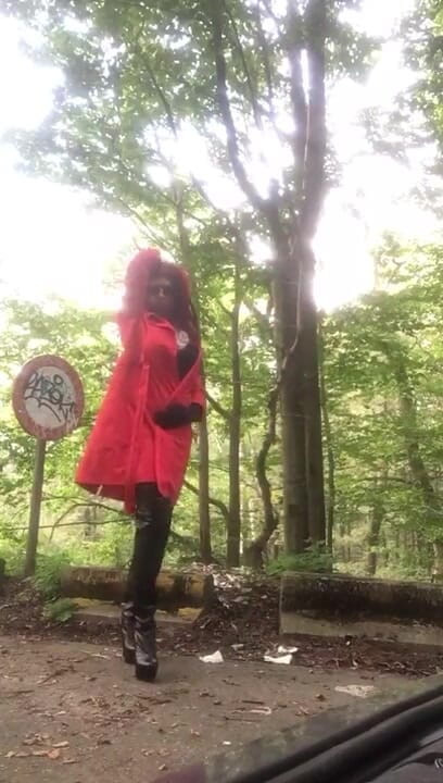 Sofiasse: 森の中を歩いていた