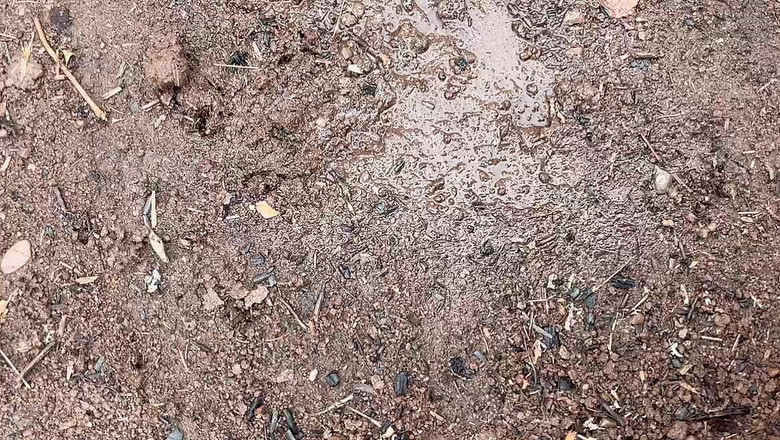 sweethanajapanese: Как Удивительно Она Мочится