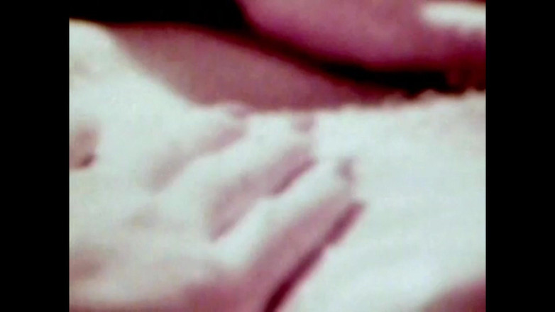 The Unforgettable: The Wild Colt