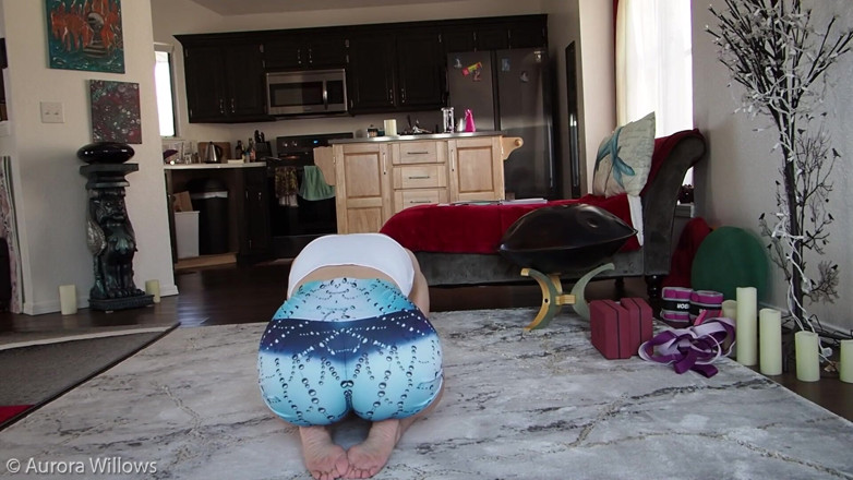 Aurora Willows: Behind the scenes daily motivation day 44 from my website Aurora-willows