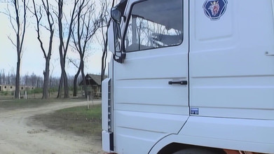 MMV Films and Clips XXX: La Bionda Gina Wild Vuole Scopare E Sborrare Cazzi Duri