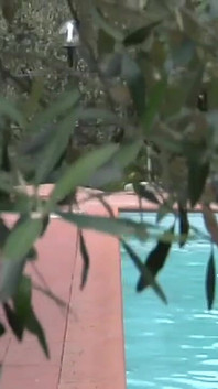 Step-fam Black - filme completo - vídeo italiano restaurado em HD