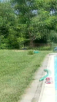 Having Some Fun with a Toy