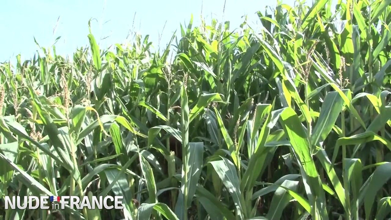 La France a Poil: ブルネットは、2つの角質scumbagsに犯されます