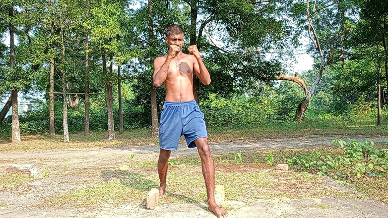 LinearOrnament35: Fiting Power