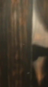 Klub pribadi di Bologna dengan vanessa seksi yang suka tampil sebagai striptis dan kemudian bercinta saat sedang difilmkan