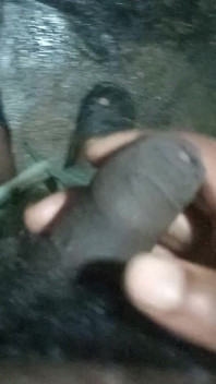 Desi Solo