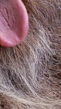 Full Edging Session March 22nd 2026