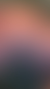 4102185813.mp4