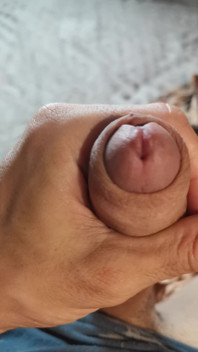 Sexy Cock