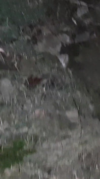 Arriscada masturbação lésbica mútua