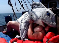 Big Beautiful Babes: Tlustá plážová hlídka vol4 - Sharkman šuká bbw velrybí kundičku na moři