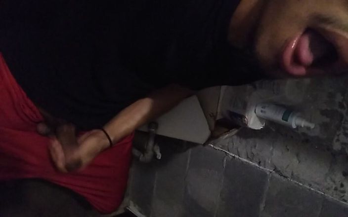 AlexAlejandro13: Brčko na záchodě bylo nutné. Vlastně se ti hodně líbí.