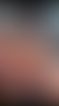 3170757241.mp4