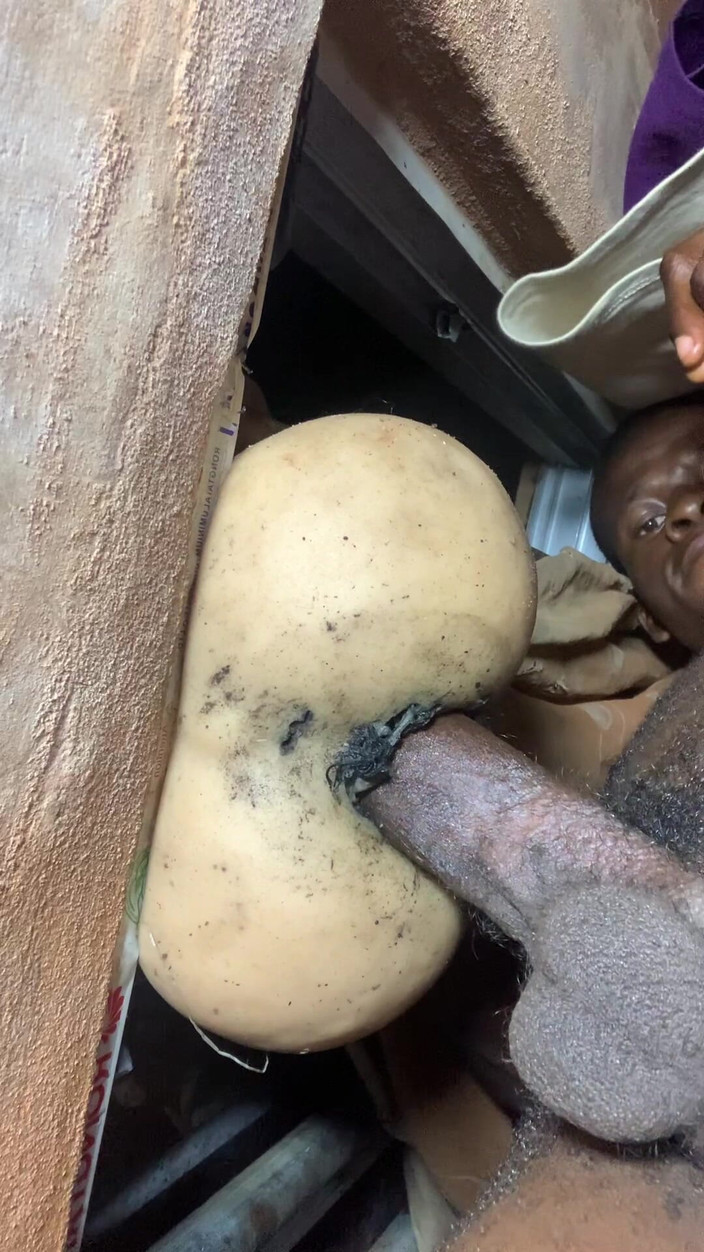 Bangcum8: Déjame follar a esta gran zorra tan caliente escuchando a...