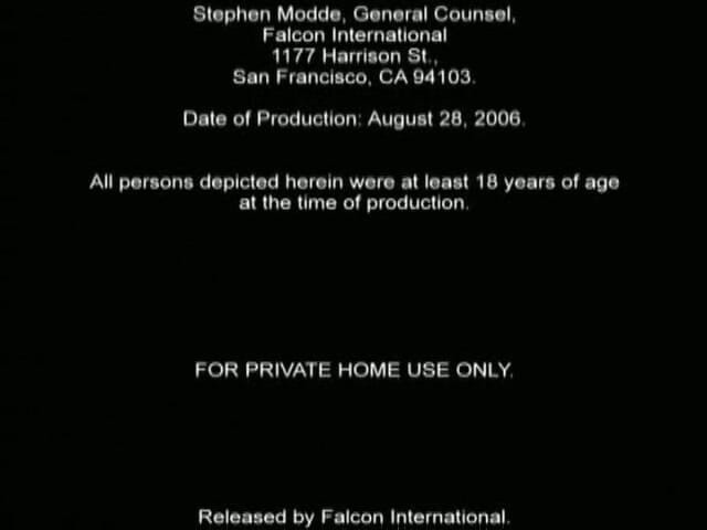 Falcon International: European Holiday 2 5