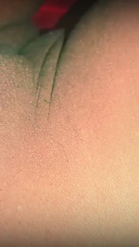 Punjabi-stiefschwein, desi video