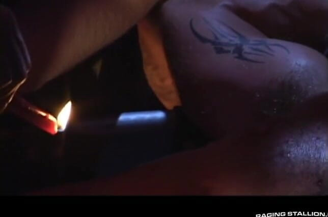 Raging Stallion: L'albero
