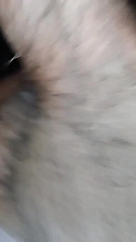 Ich habe meine stiefschwester gefickt (indischer stiefbruder fickt stiefschwester