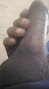 Village Desi Sex