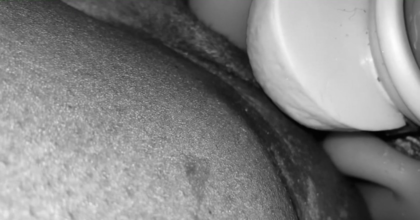 Wap12-pum: Solo Play
