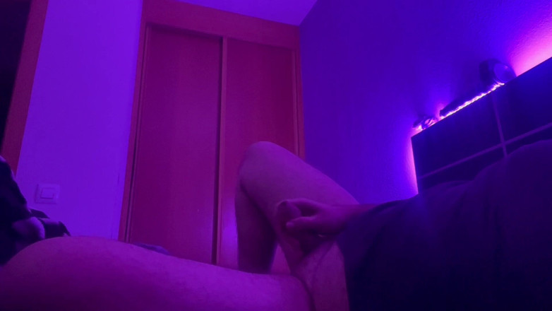 The newhere: Niedźwiedź w łóżku dochodzi