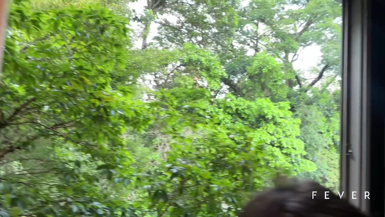 Fever Films: Potěšení V Dvojnásobné Dávce: Patty Kimberly Ve Trojce Se DVěma...