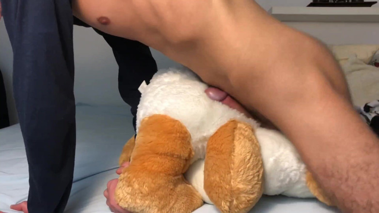 Heat boy: Teddy orgasmus ráno sprosté rozhovory sólo cum