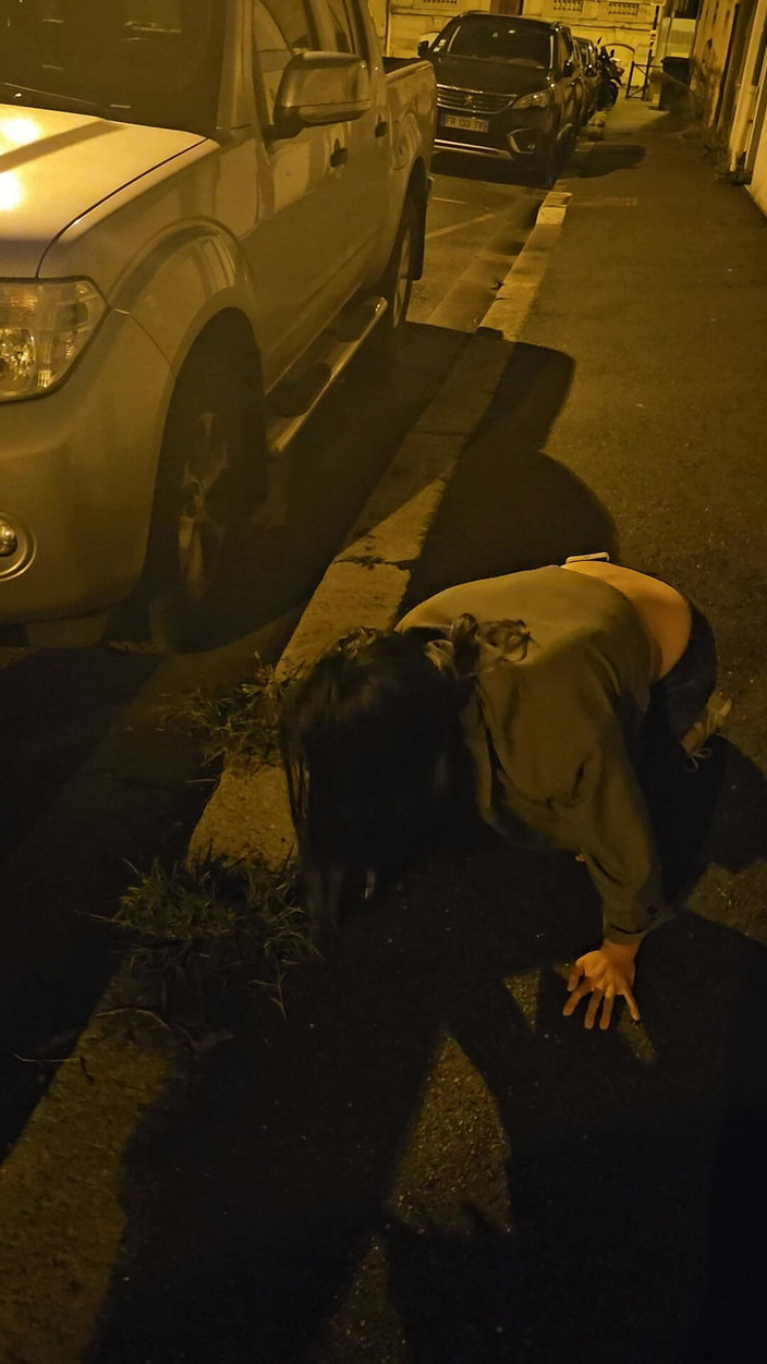 J and rose: 美女荡妇宠物