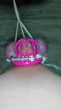 Sissy in Chastity CBT Balls Tied and Stretched Until They Turned Purple