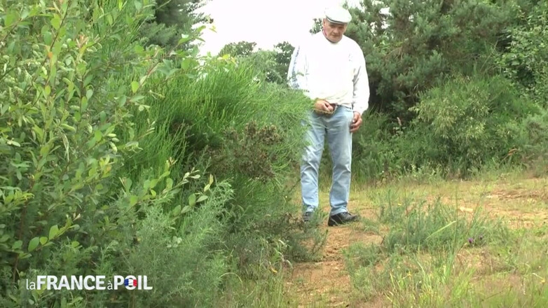 Girls Bang: Młoda para uprawia seks analny na świeżym powietrzu