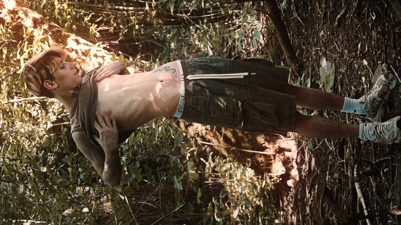 HotDogs studio: Woods Hráč