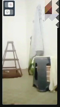 거대한 자지 남자와 자위하는 흑인 미시