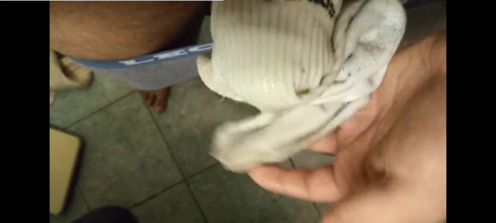 SmokedAlloy2: Dirtyjunkbro mija no banheiro, mas não onde mijar......