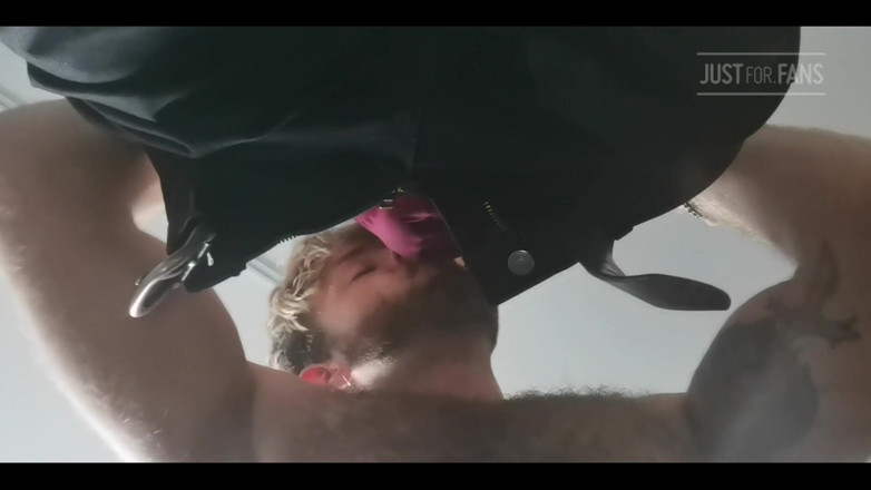 Cody Seiya: Prosto ze skarbca!