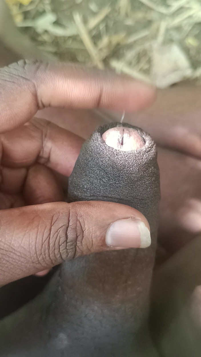 Goodboy_tamil: Sun hôn con cu của tôi