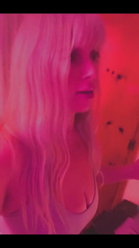 Not Invited Sir Stinkbug