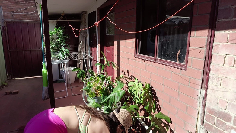 annikarain: 继母园艺 Sfw