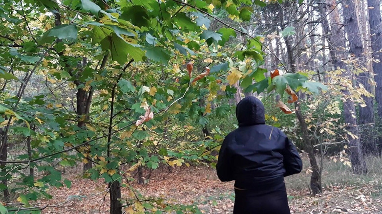 Lesbian-illusion: Seks publik yang indah di hutan oleh api - ilusi lesbian