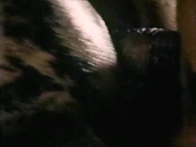 Tribal Male Retro 1970s Gay Films: kaamuk muththi ghusaana haath bhaag 2