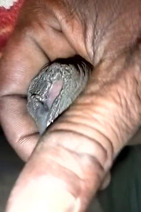 FrozenOpenair8: बीएम शानदार भाग 1