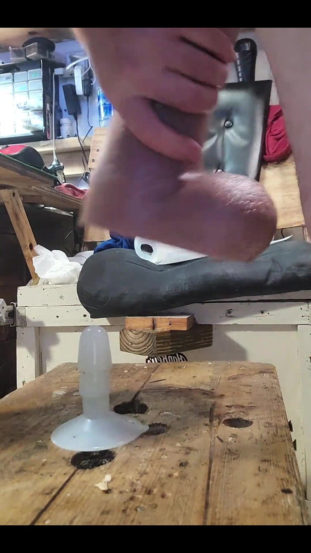 Mr Hankeys Riding (Lb Studio)