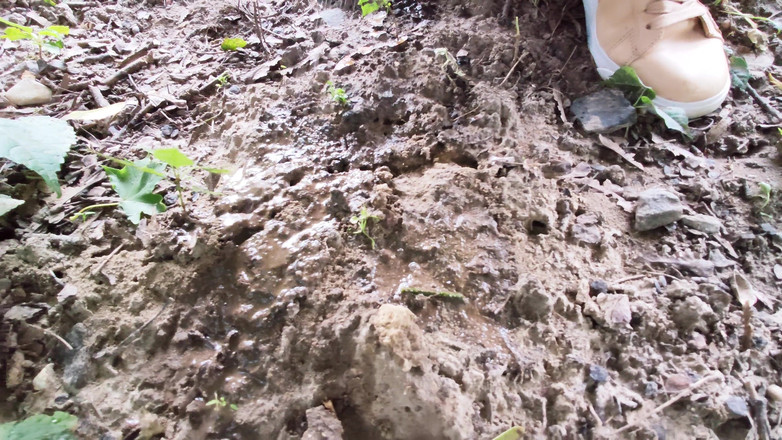 Adele Amber: प्रकृति में बारिश